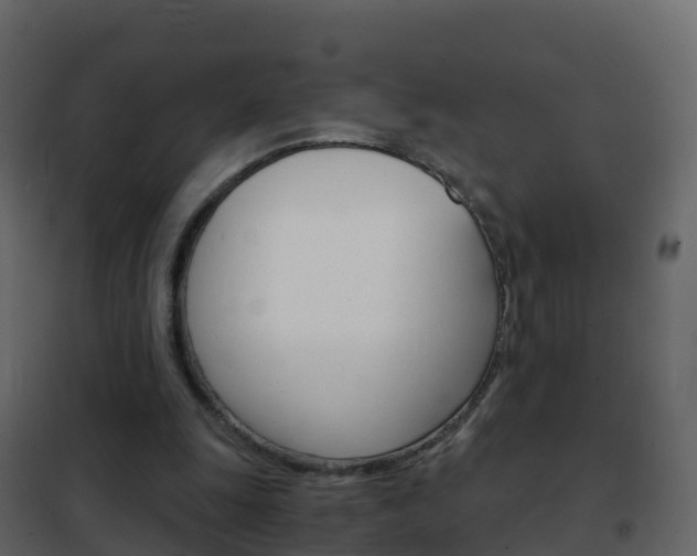 X0000102480247200808081039