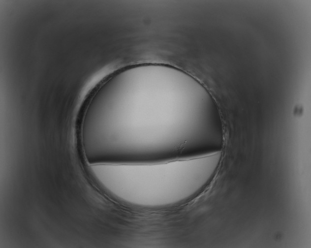 X0000102480248200808081039