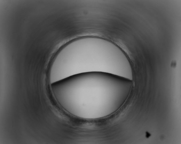 X0000102480252200808081039