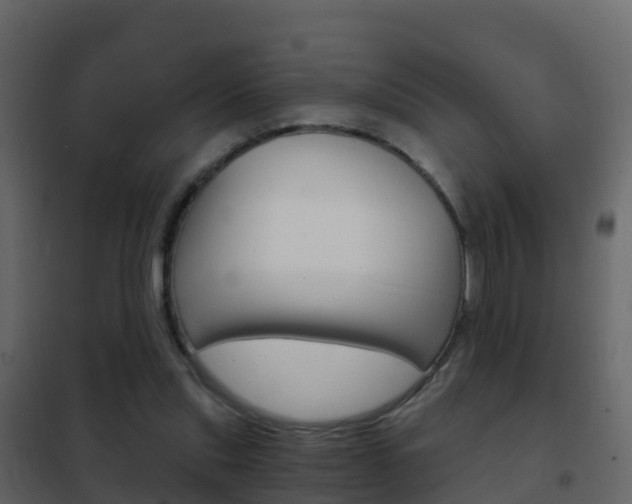 X0000102480253200808081039