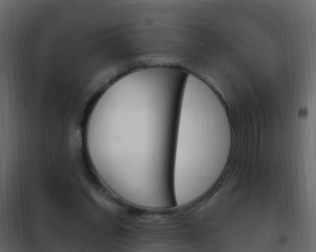 X0000102480254200808081039