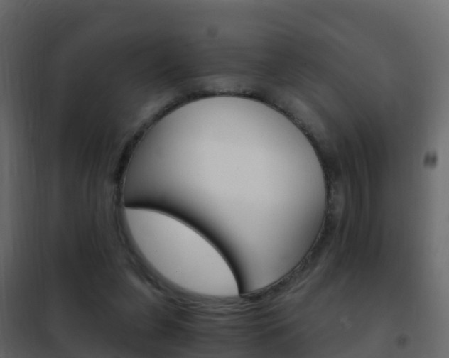 X0000102480255200808081039