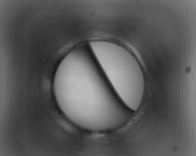 X0000102480257200808081039