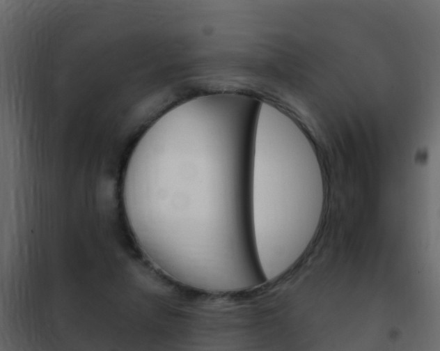 X0000102480258200808081039
