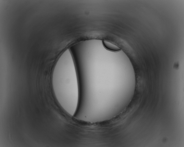 X0000102480259200808081039