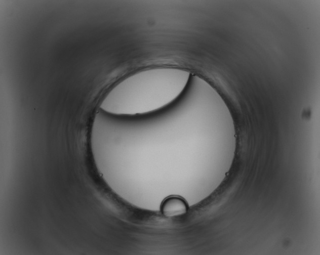 X0000102480260200808081039