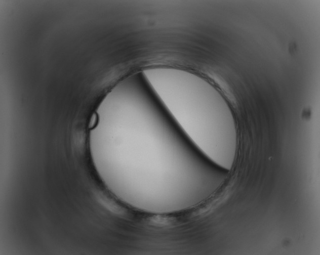 X0000102480261200808081039