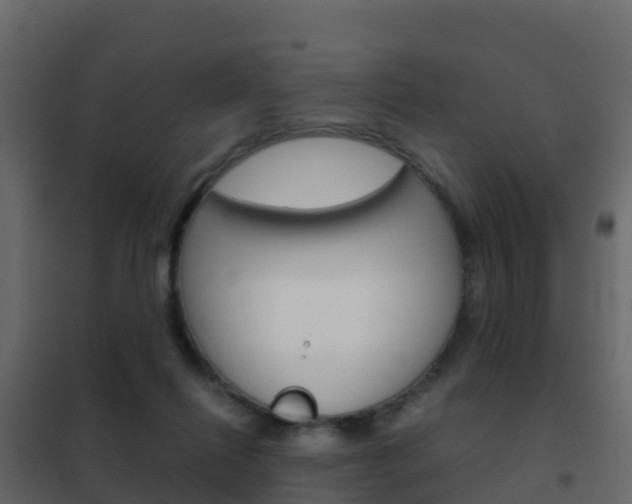 X0000102480262200808081039