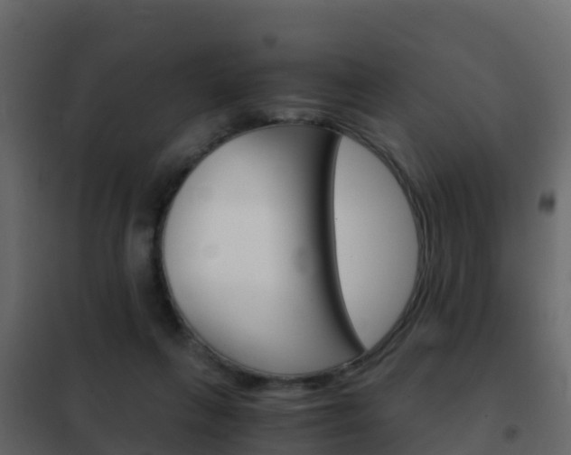 X0000102480263200808081039