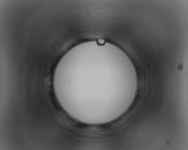 X0000102480264200808081039