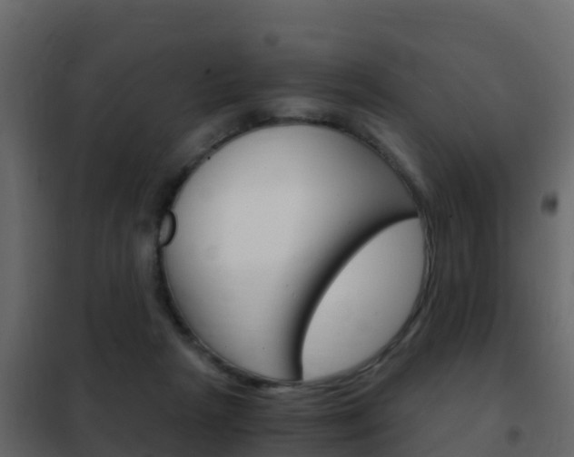 X0000102480265200808081039