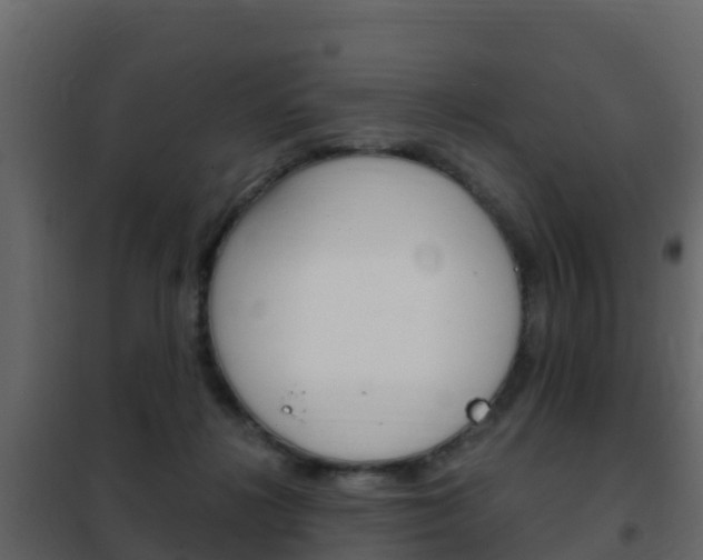 X0000102480268200808081039