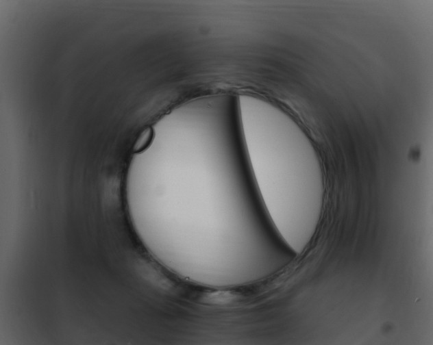 X0000102480269200808081039