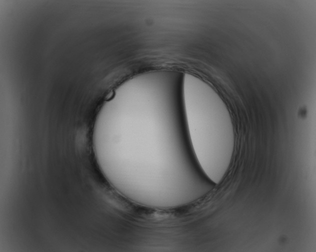 X0000102480270200808081039