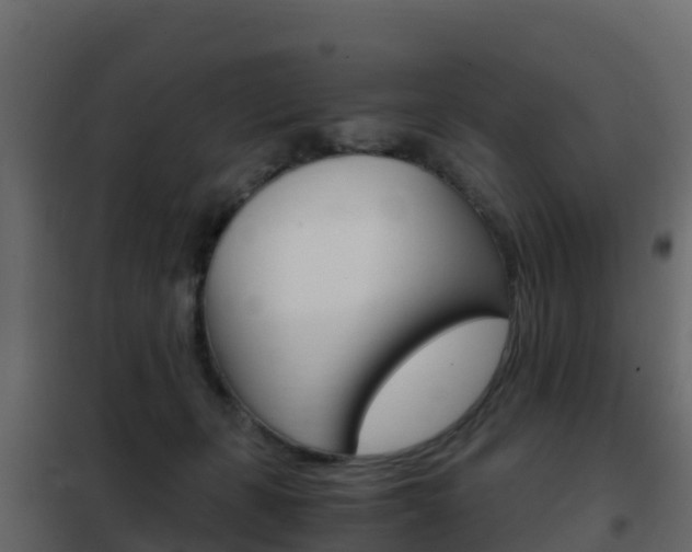 X0000102480271200808081039