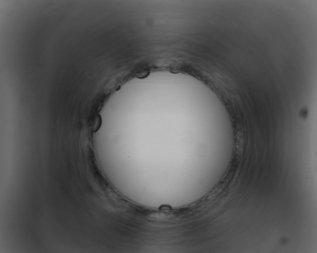 X0000102480272200808081039