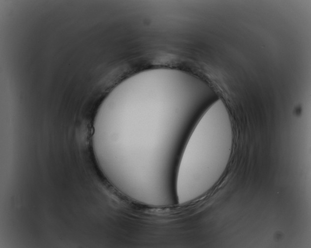 X0000102480273200808081039