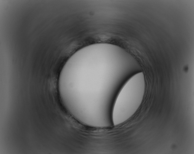 X0000102480274200808081039