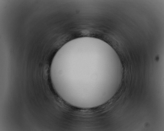 X0000102480275200808081039