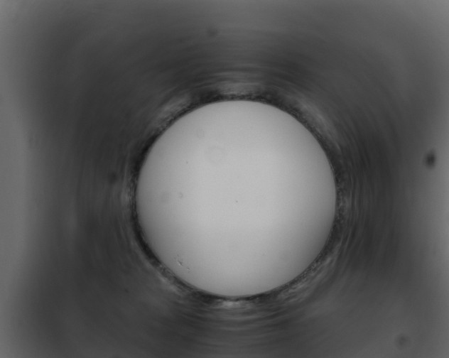 X0000102480277200808081039