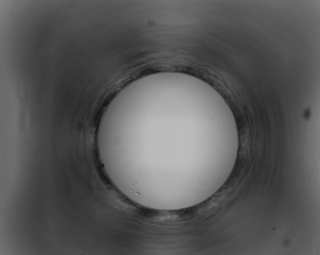 X0000102480278200808081039