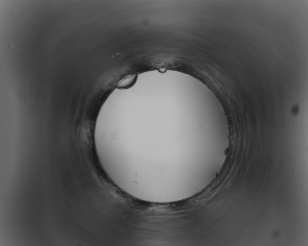 X0000102480280200808081039