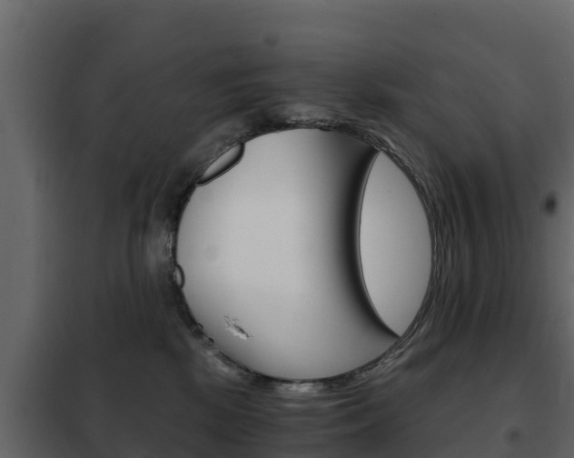 X0000102480281200808081039