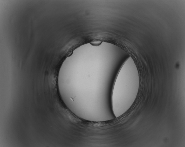 X0000102480282200808081039