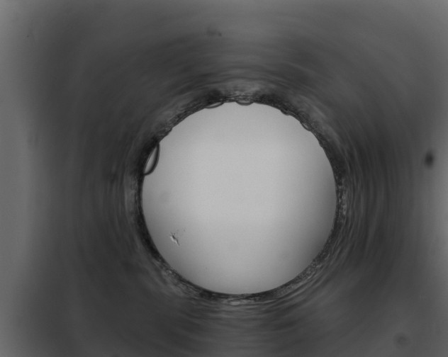 X0000102480283200808081039