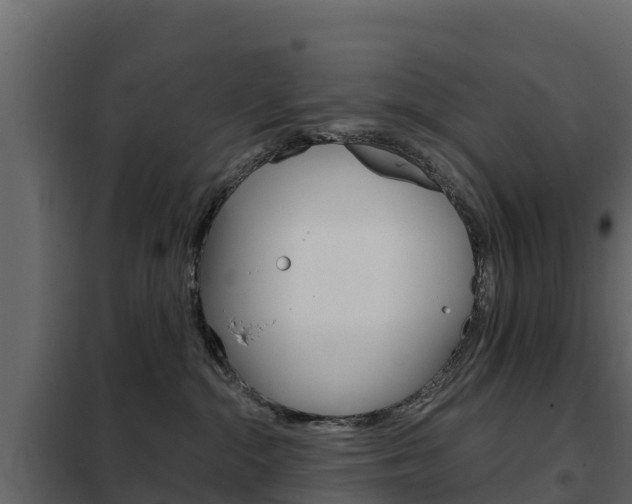 X0000102480284200808081039