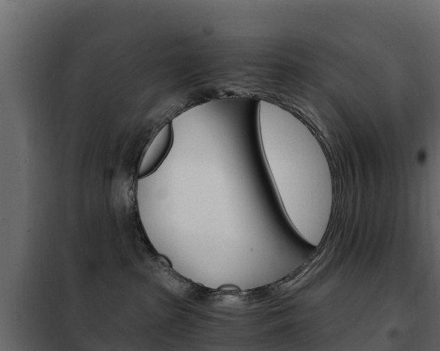 X0000102480285200808081039