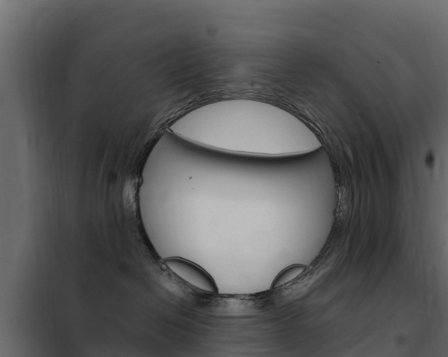 X0000102480286200808081039