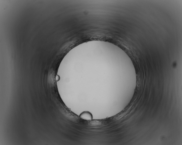 X0000102480287200808081039