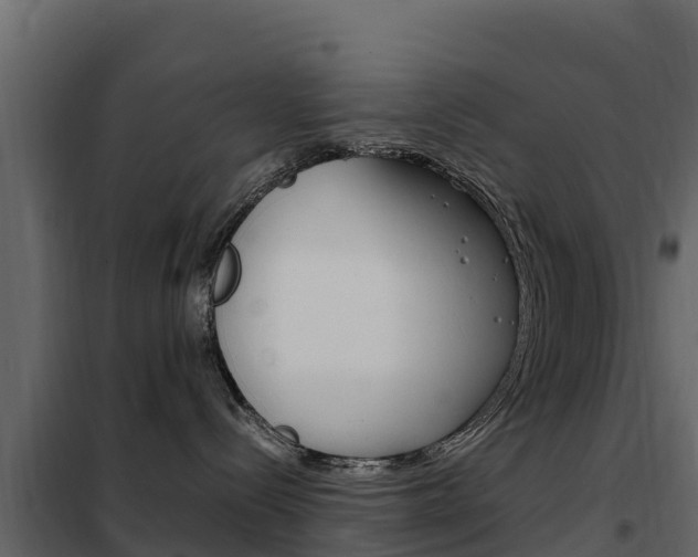 X0000102480288200808081039