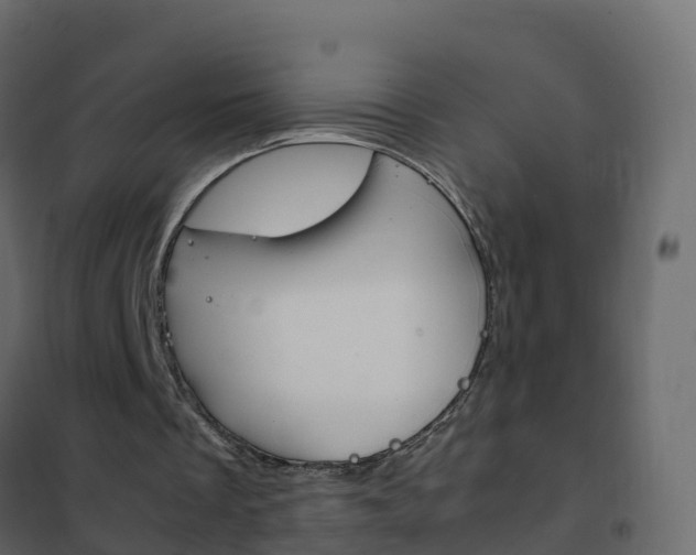 X0000102480289200808081039