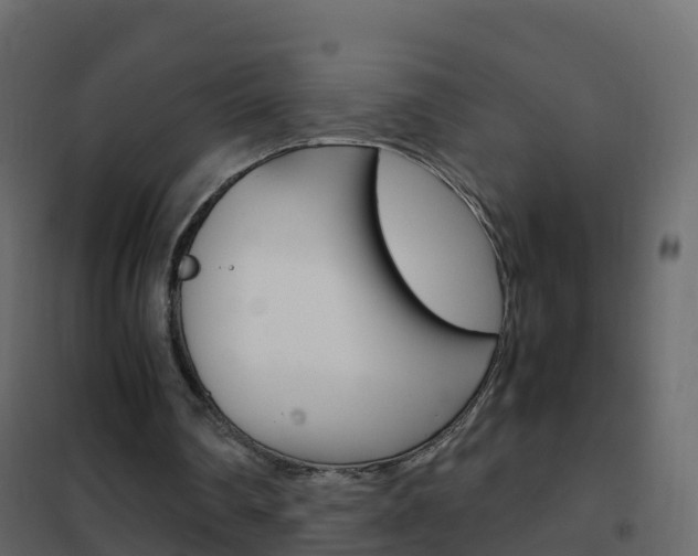X0000102480290200808081039