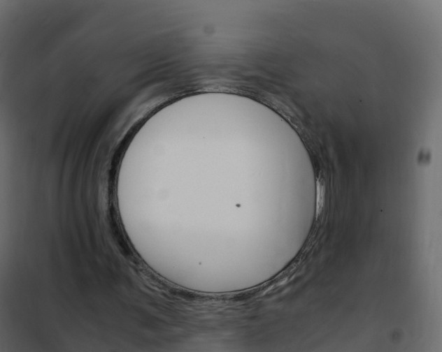 X0000102480291200808081039