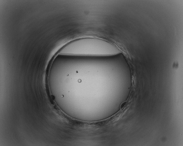 X0000102480292200808081039