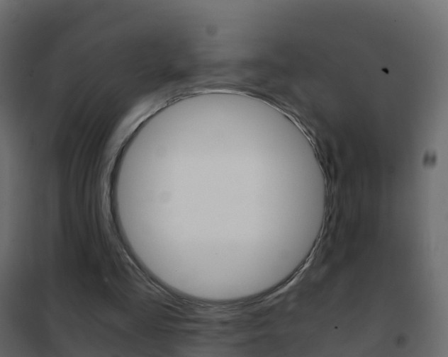 X0000102480293200808081039