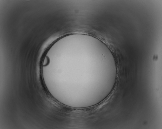 X0000102480294200808081039