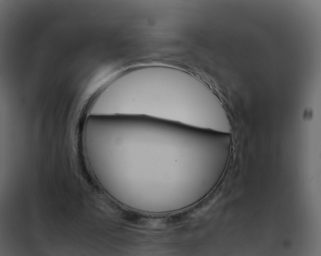 X0000102480295200808081039
