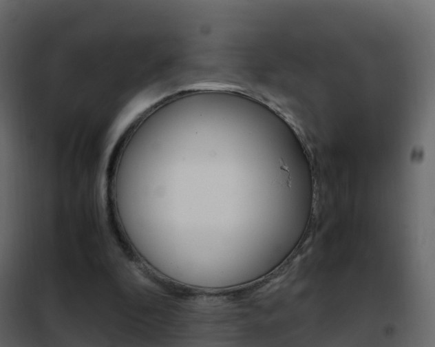 X0000102480296200808081039