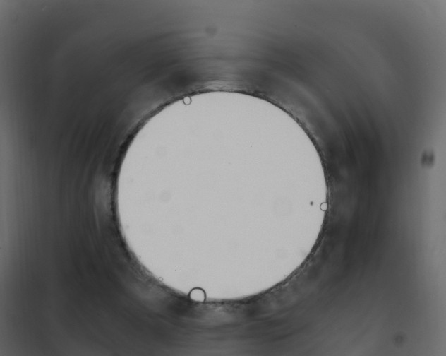 X0000102480297200808081039