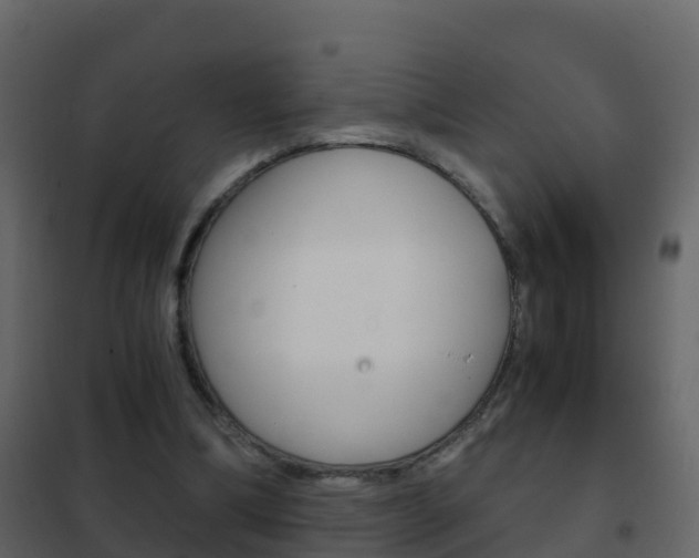 X0000102480298200808081039