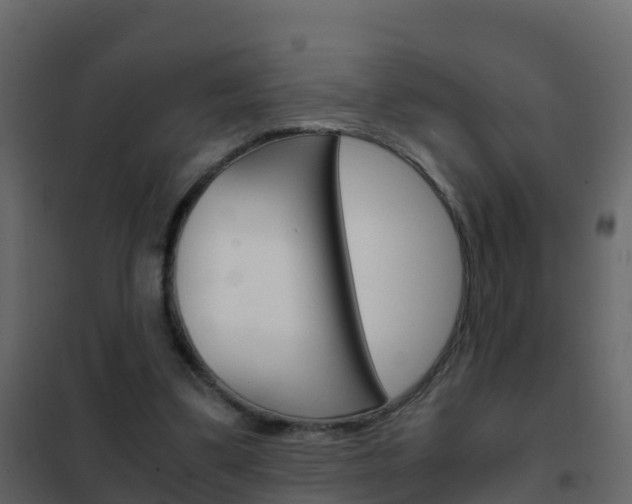 X0000102480299200808081039