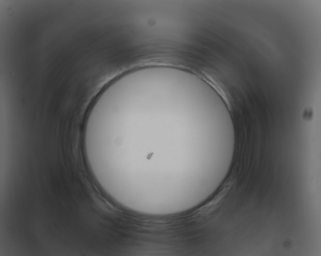X0000102480301200808081039