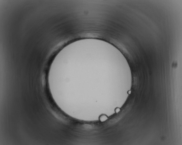 X0000102480302200808081039