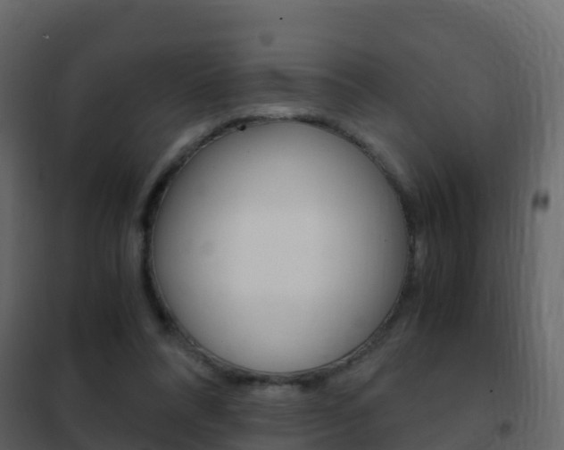 X0000102480304200808081039