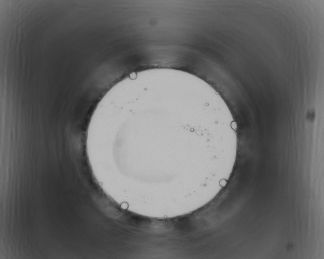 X0000102480305200808081039