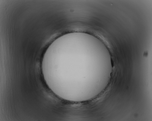 X0000102480306200808081039